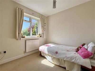 Picture 20